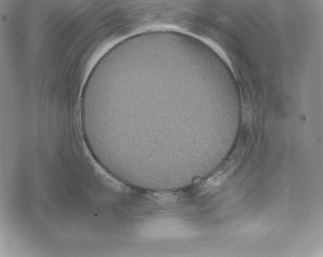 X0000072500911200608041438