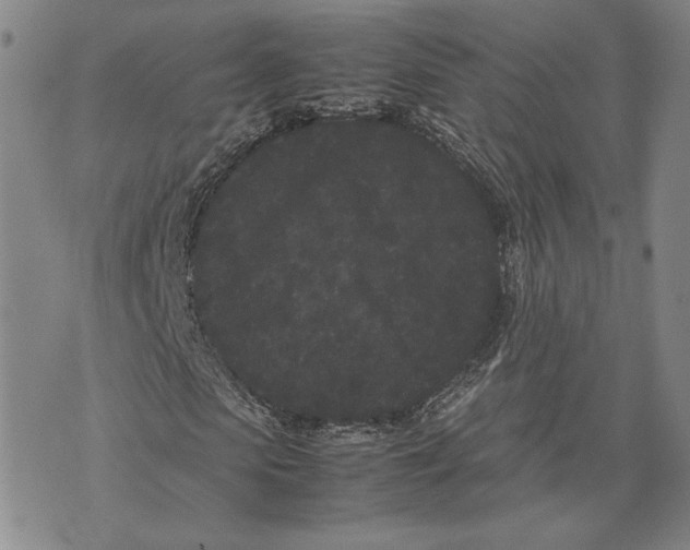 X0000072500913200608041437