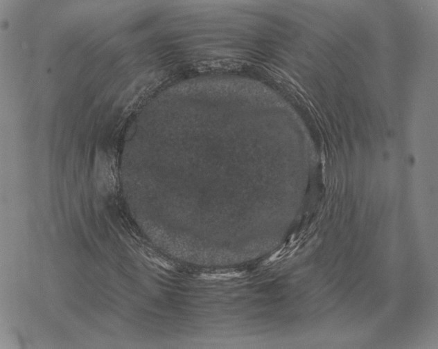 X0000072500915200608041437