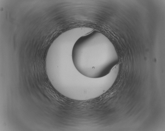 X0000072500916200608041437