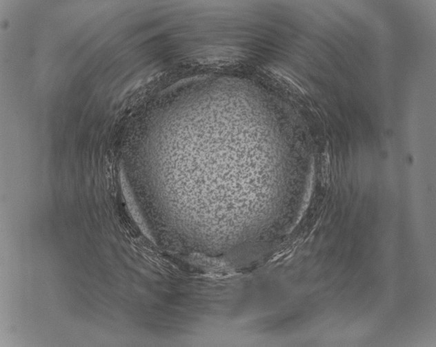 X0000072500917200608041437