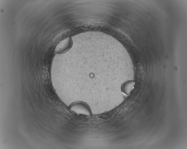 X0000072500918200608041437