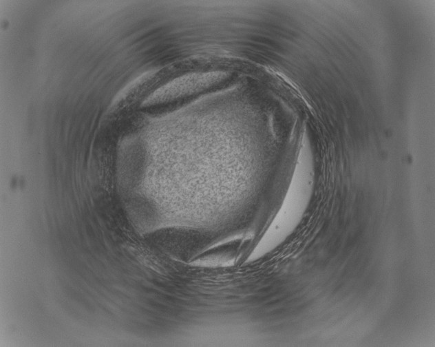 X0000072500919200608041437