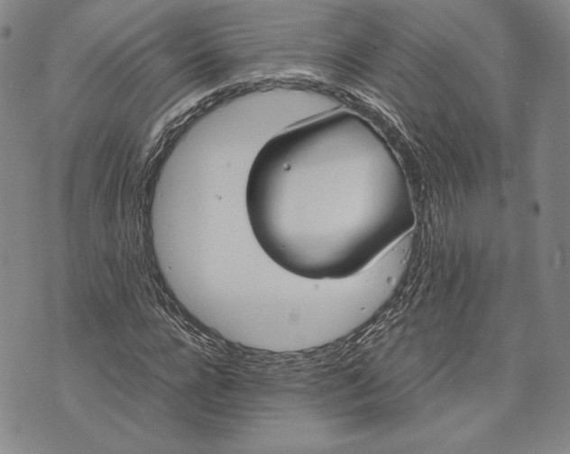 X0000072500920200608041437