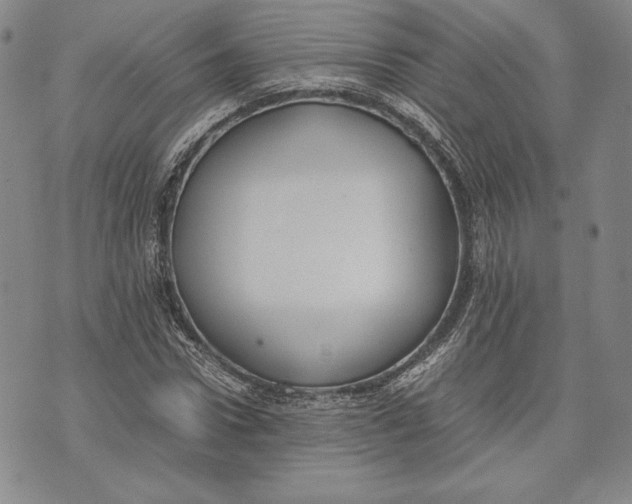 X0000072500922200608041437