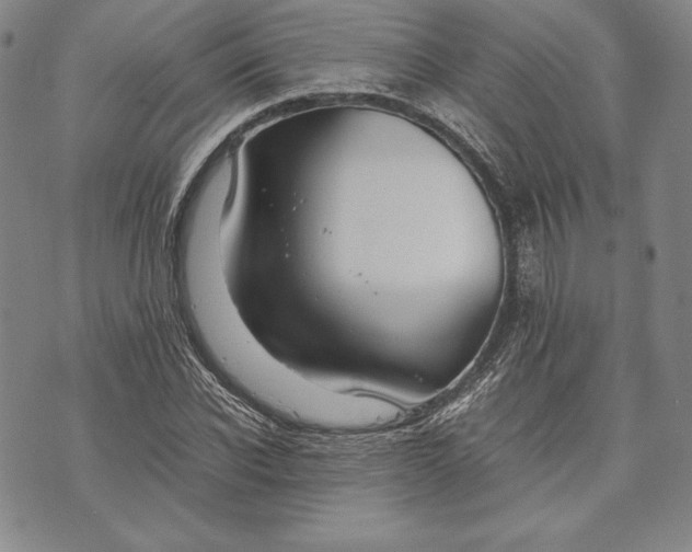 X0000072500926200608041437