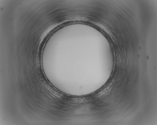 X0000072500927200608041437