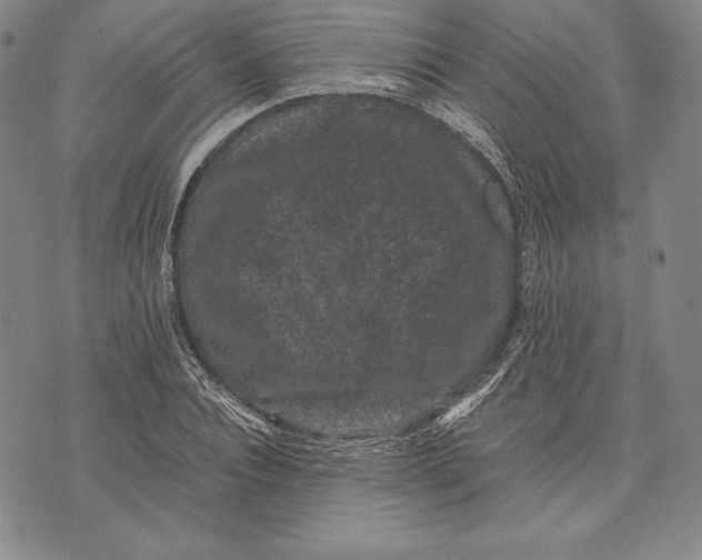 X0000072500928200608041437