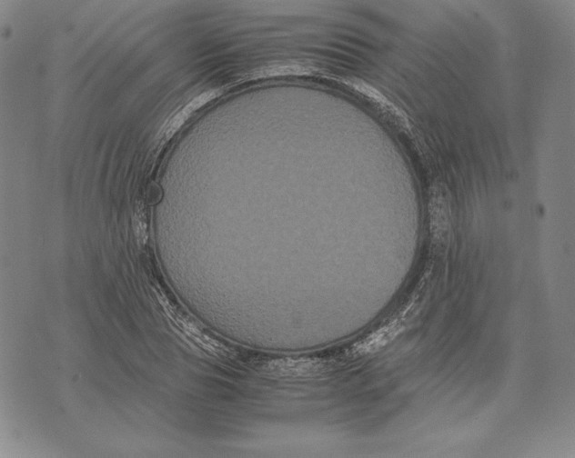 X0000072500929200608041437