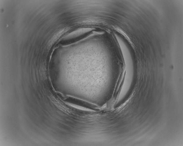 X0000072500930200608041437