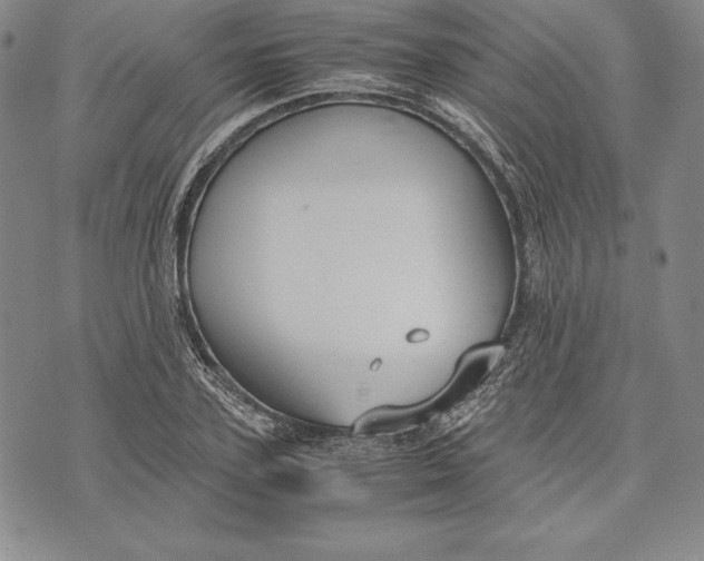 X0000072500931200608041437