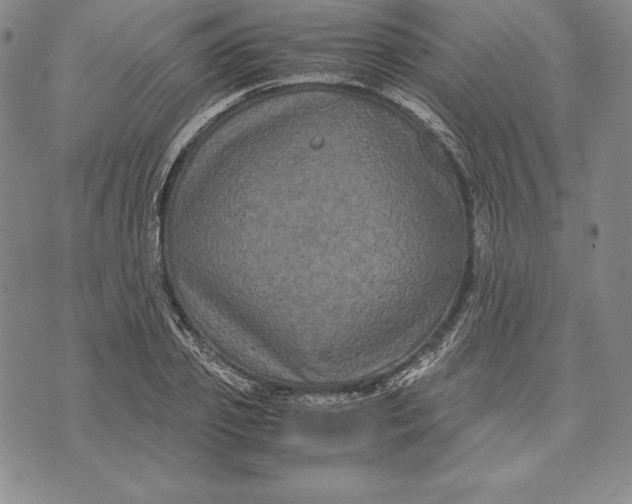 X0000072500933200608041437