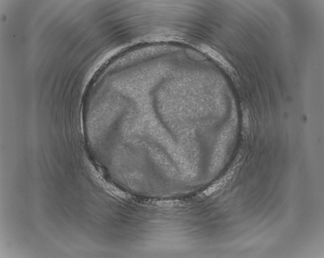 X0000072500934200608041437