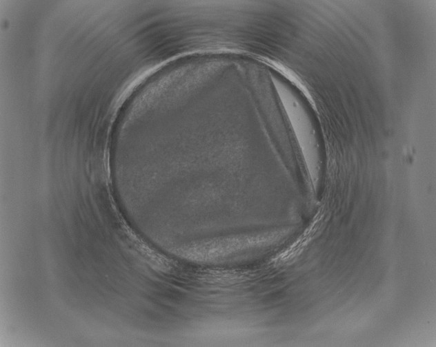 X0000072500935200608041437