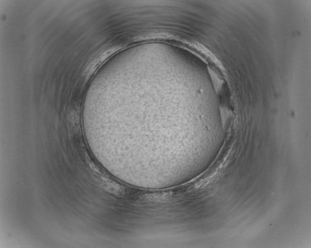 X0000072500937200608041437