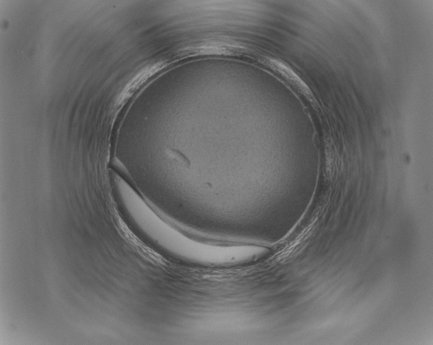 X0000072500938200608041437