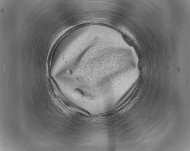 X0000072500940200608041438