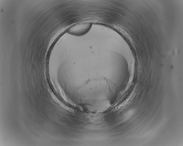 X0000072500941200608041438