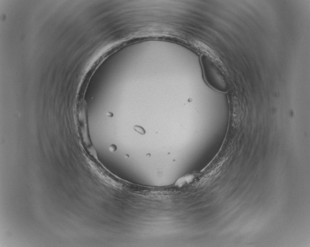 X0000072500942200608041438