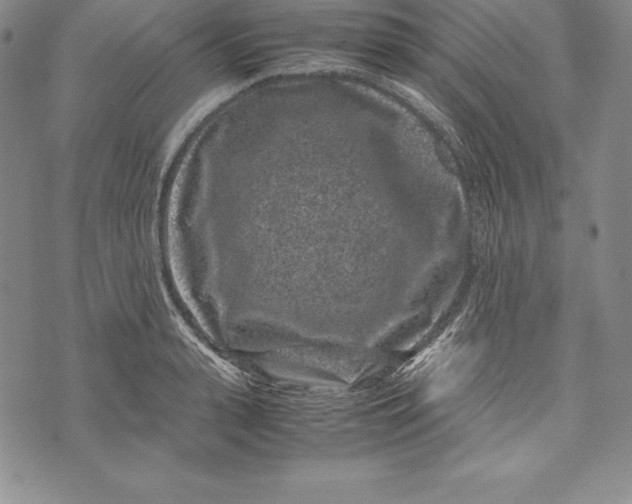 X0000072500943200608041438