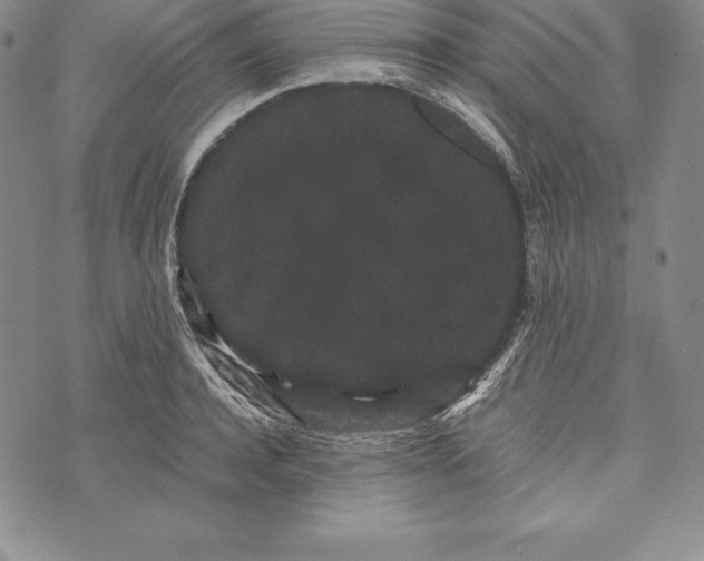 X0000072500944200608041438