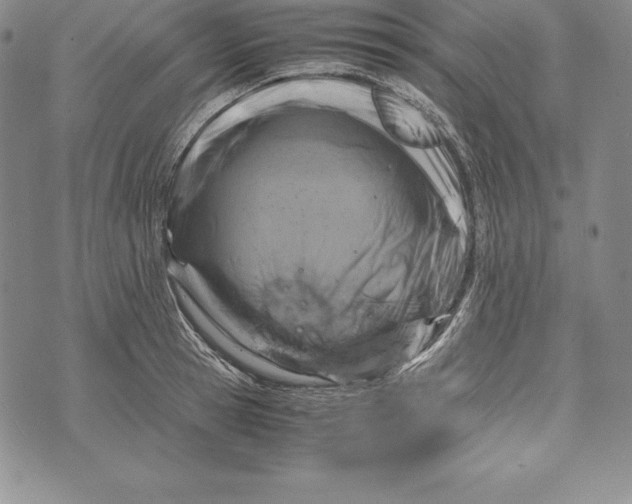 X0000072500945200608041438