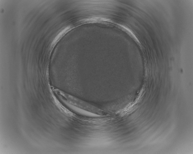 X0000072500946200608041438