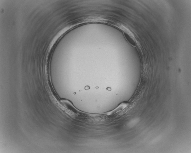 X0000072500947200608041438