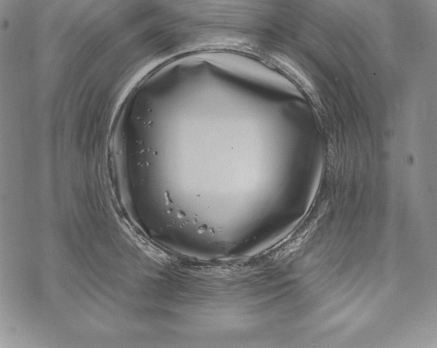 X0000072500948200608041438