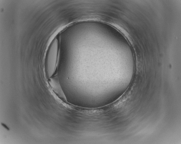 X0000072500949200608041438