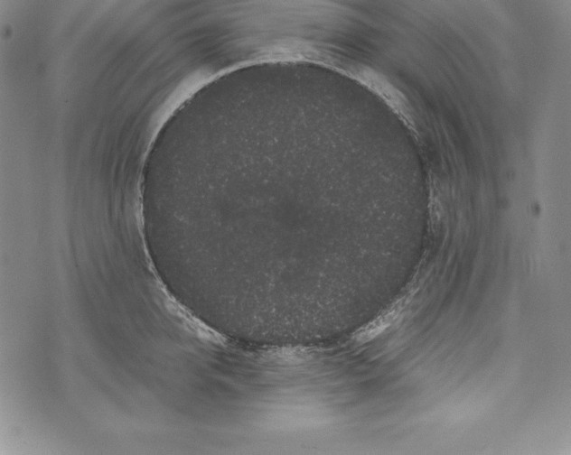 X0000072500950200608041438