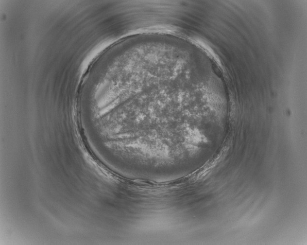 X0000072500952200608041438