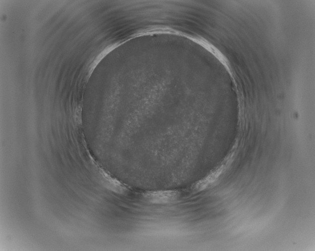 X0000072500953200608041438