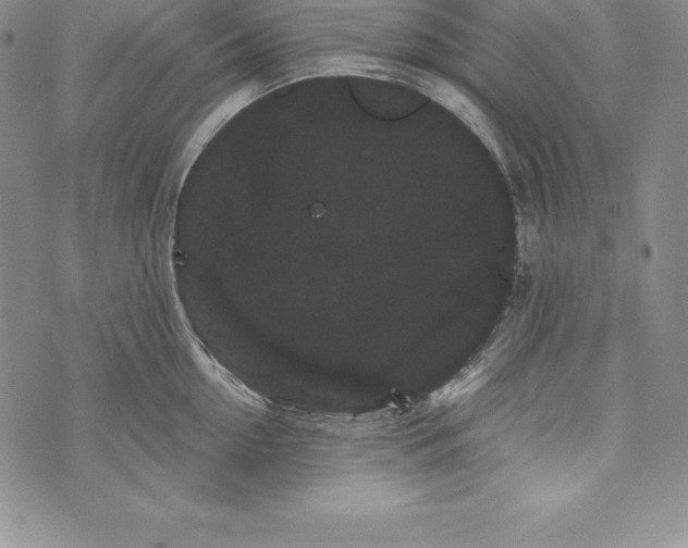 X0000072500954200608041438