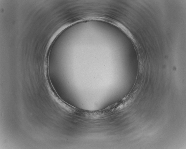 X0000072500955200608041438