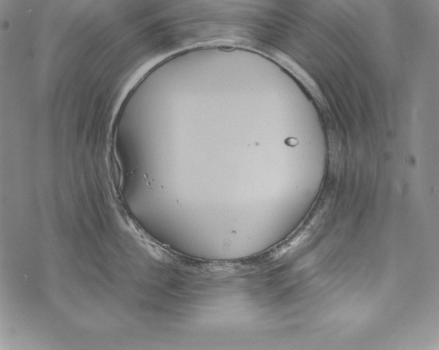 X0000072500956200608041438