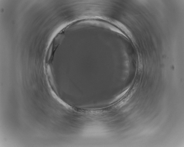 X0000072500958200608041438