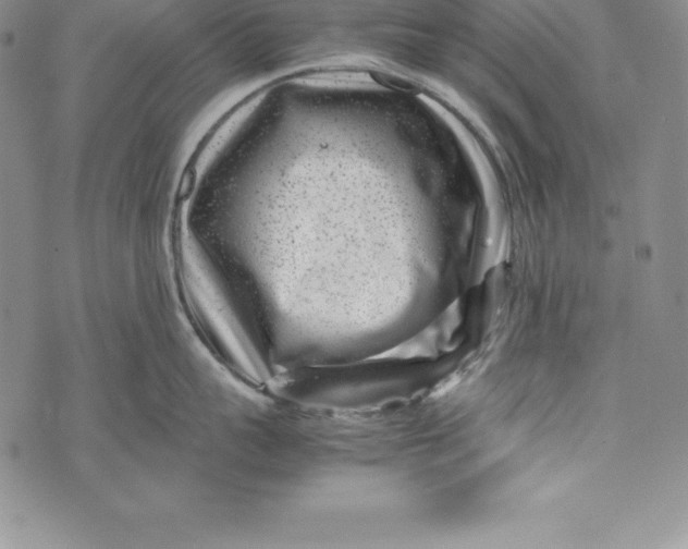 X0000072500959200608041438