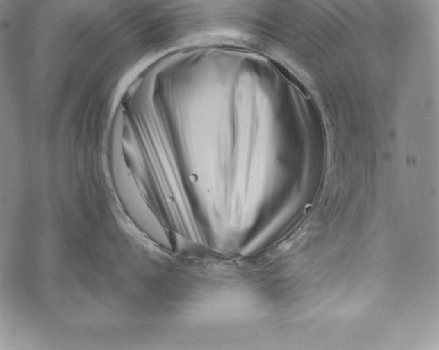 X0000072500960200608041438