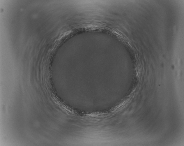 X0000072500961200608041437