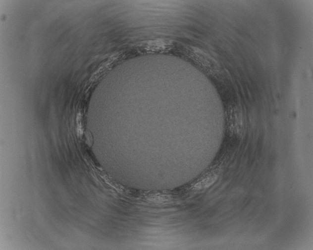 X0000072500962200608041437