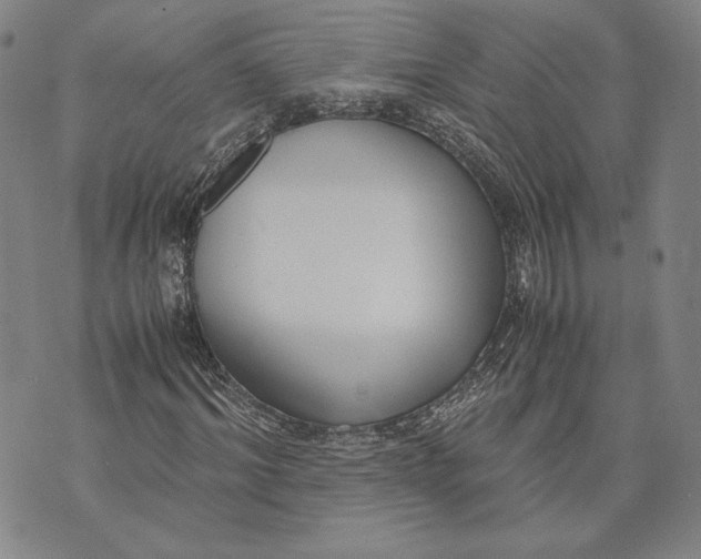 X0000072500964200608041437