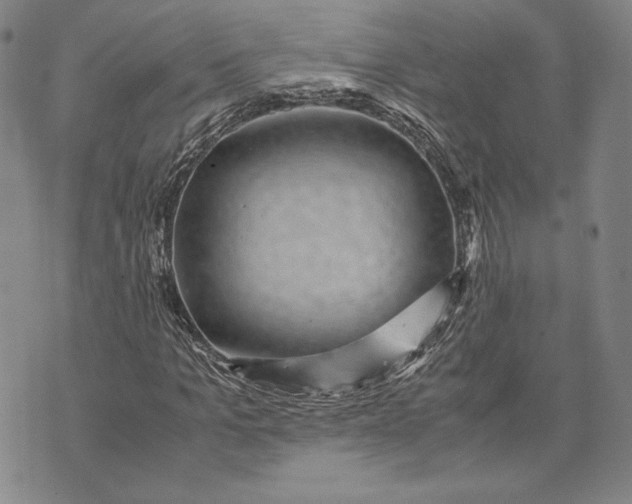 X0000072500965200608041437