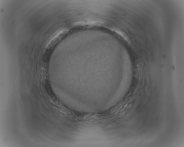 X0000072500967200608041437