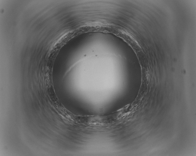 X0000072500968200608041437