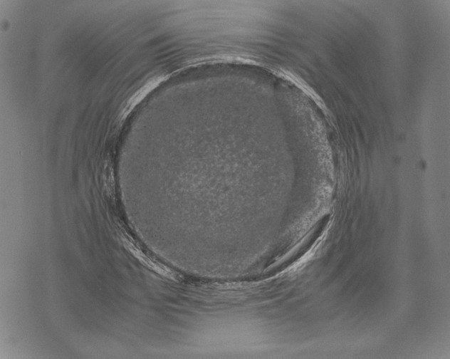 X0000072500969200608041437