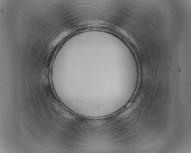 X0000072500970200608041437