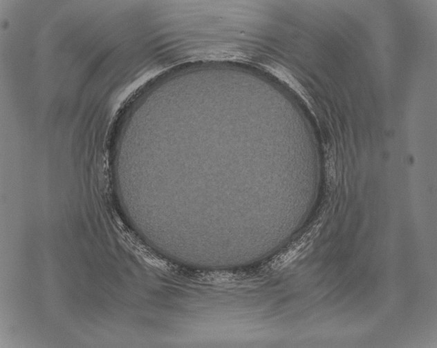 X0000072500971200608041437