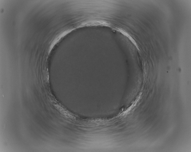 X0000072500973200608041437