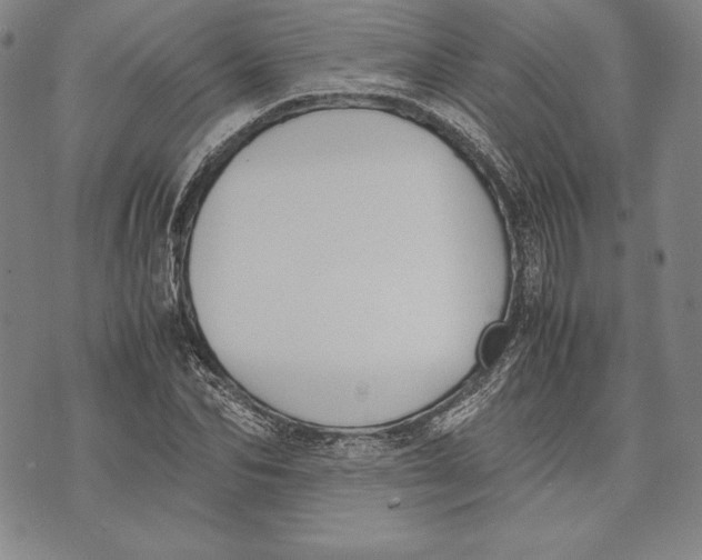 X0000072500974200608041437